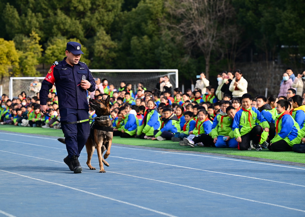 1月7日，小朋友在活动现场观看警犬训练。