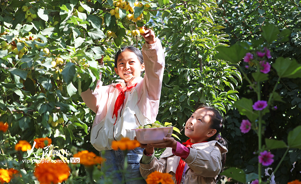 甘肃民乐：校园“丰收节”【2】