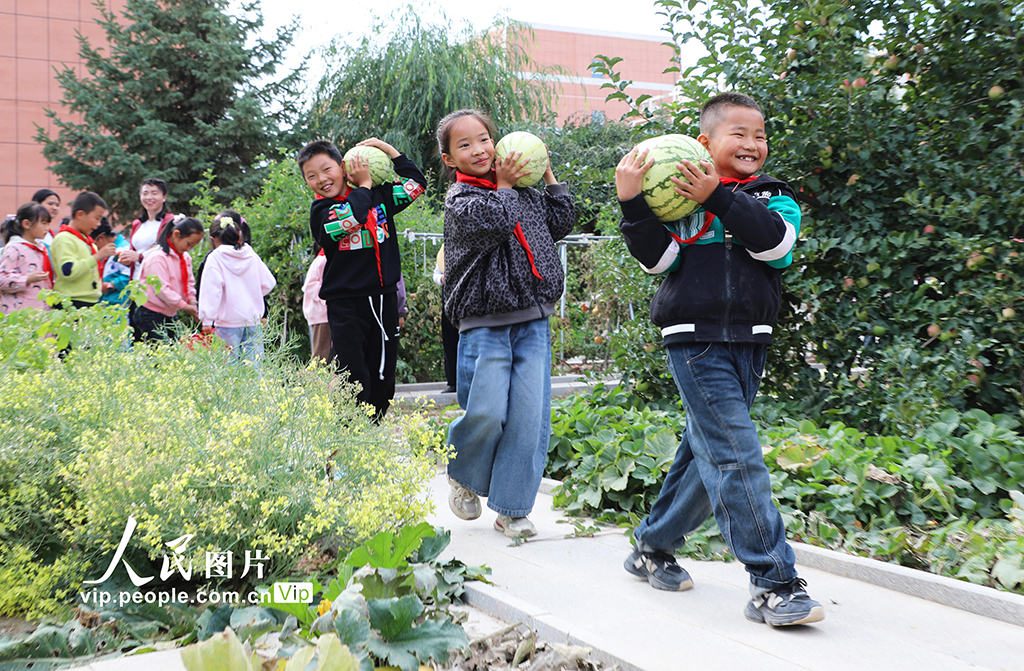 甘肃民乐：校园“丰收节”【6】