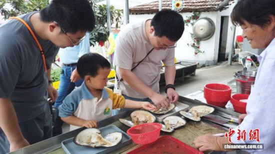 2025年6月，家长与孩子正在进行开蚌取珠体验。曹丹 摄